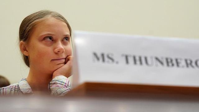 Greta Thunberg flips US congressman's climate change claim back at him - Irish Times