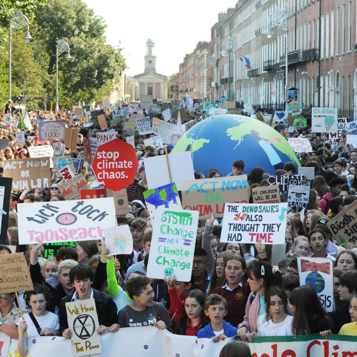 Excited and enraged, children take to Dublin's streets as part of global  protest