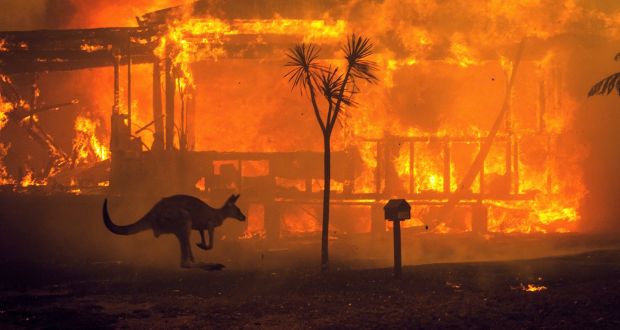 The Irish Times View On The Australia Fires The Horror And The Pain