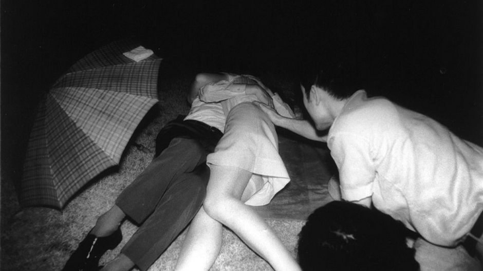 Naked Party Voyeur - Sex in the park: From lurking spectators to a surveillance state