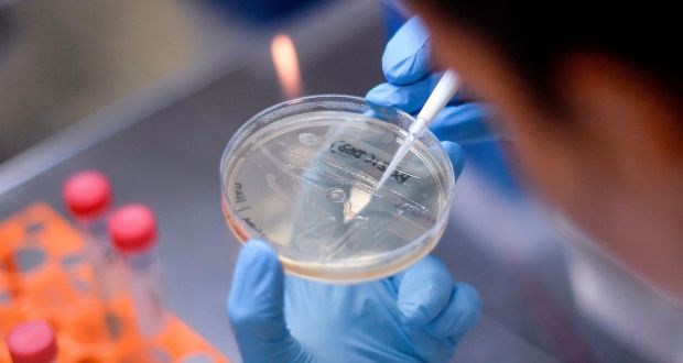 A researcher works on the development of a vaccine against  Covid-19. File photograph: by Douglas Magno/AFP via Getty Images