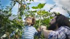 Gardening with children 