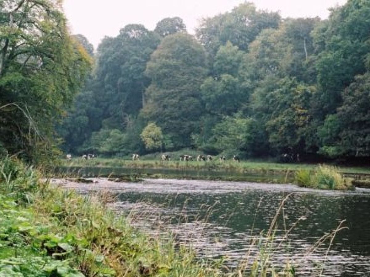 Search Continues In Drogheda For Young Boy Believed To Have Fallen Into River Boyne