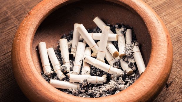 Hse Launches Investigation Into Tobacco Companies Over Menthol Blends