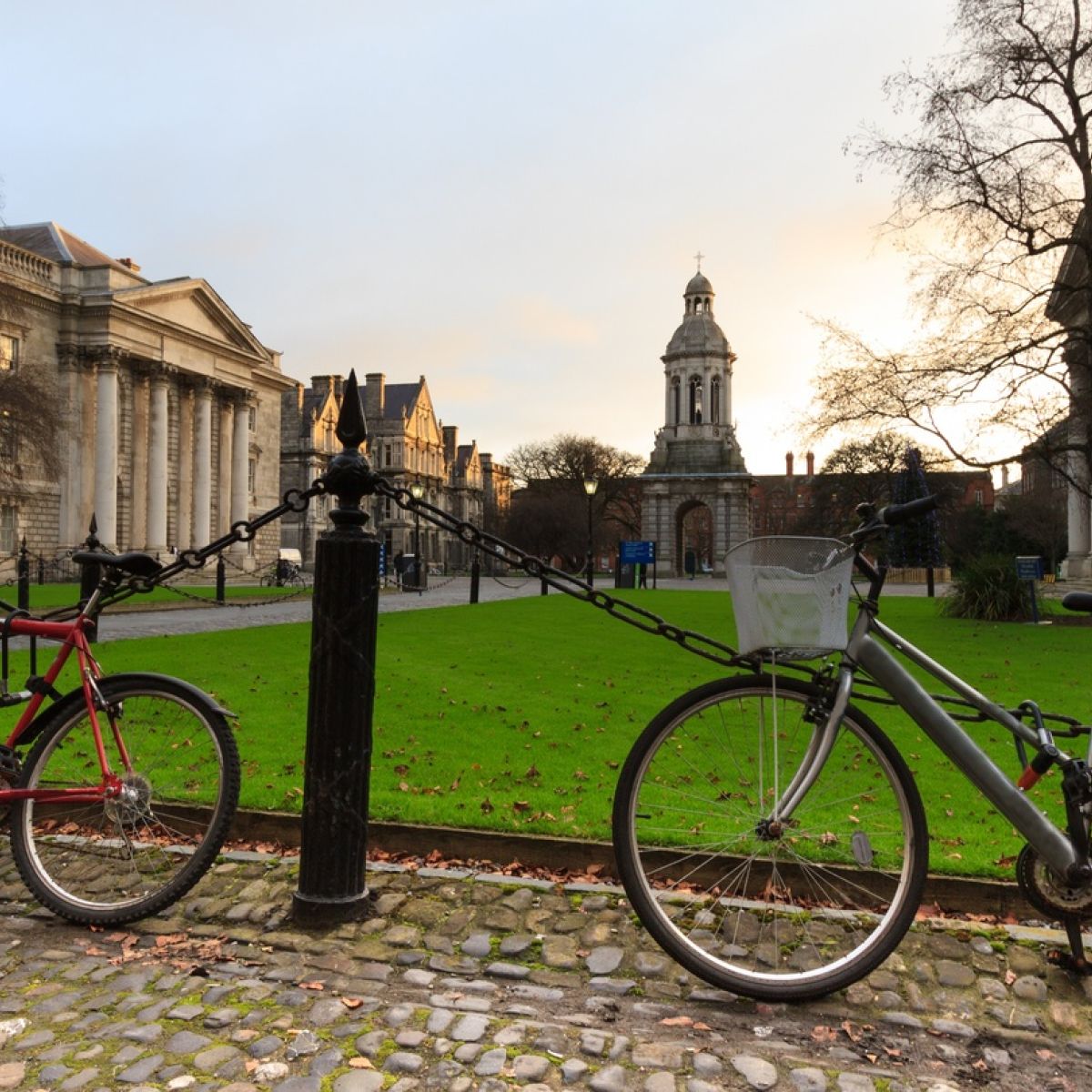 pearse street bike shop