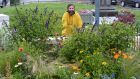 Ross Flanagan and his garden in Harold's Cross. Photograph: Alan Betson