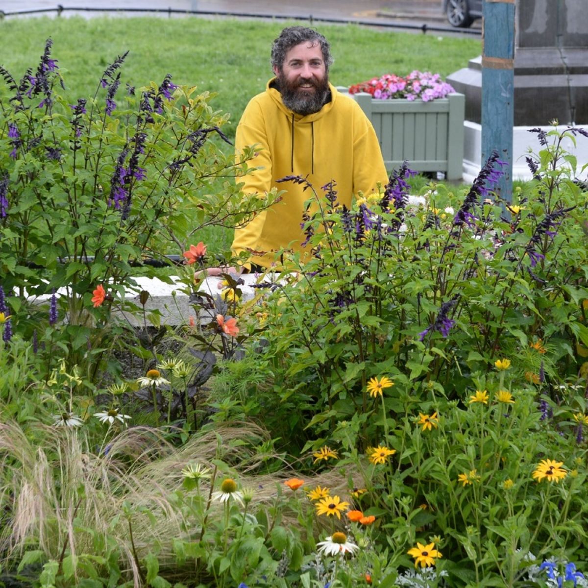 Gardening For Beginners Irish Times