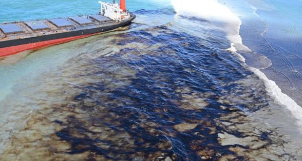 Sea life around Mauritius dying as Japanese tanker oil spill spreads