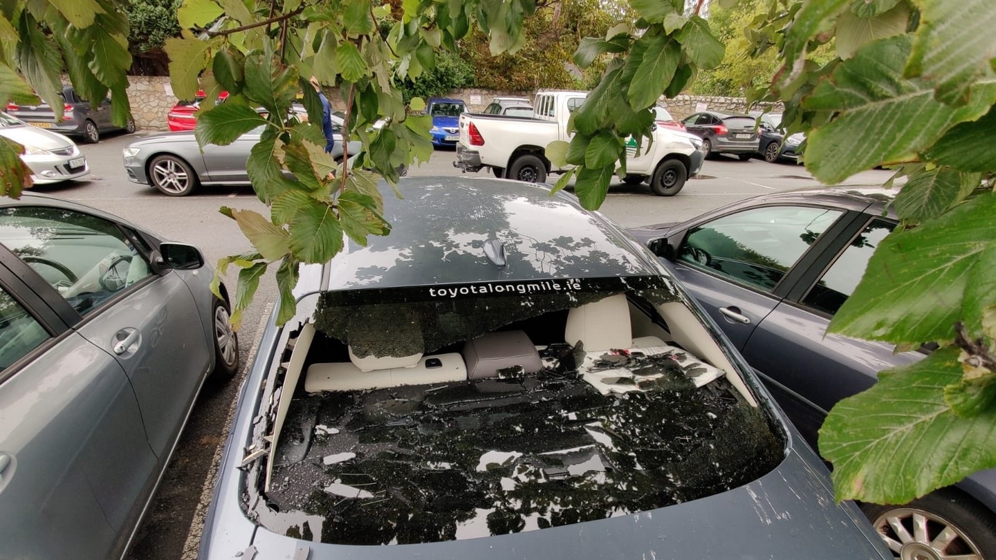 Ireland S Kevin O Brien Hits A Huge Six And Smashes His Own Car Window