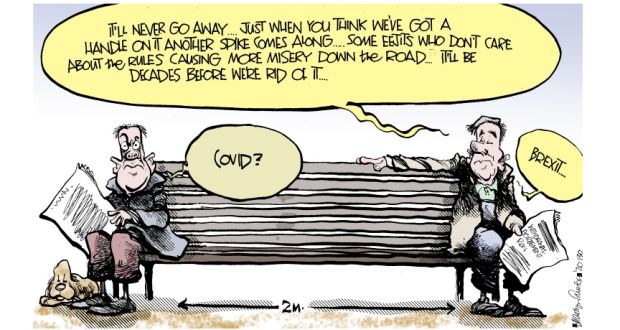 Martyn Turner on Brexit and Covid