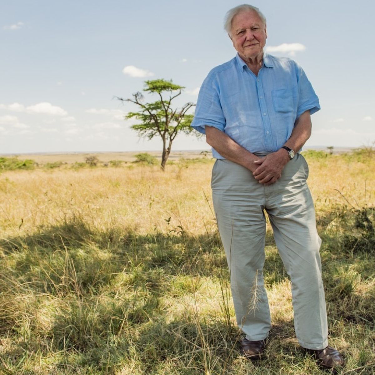 David Attenborough To Continue Humans Require More Than Intelligence We Require Wisdom