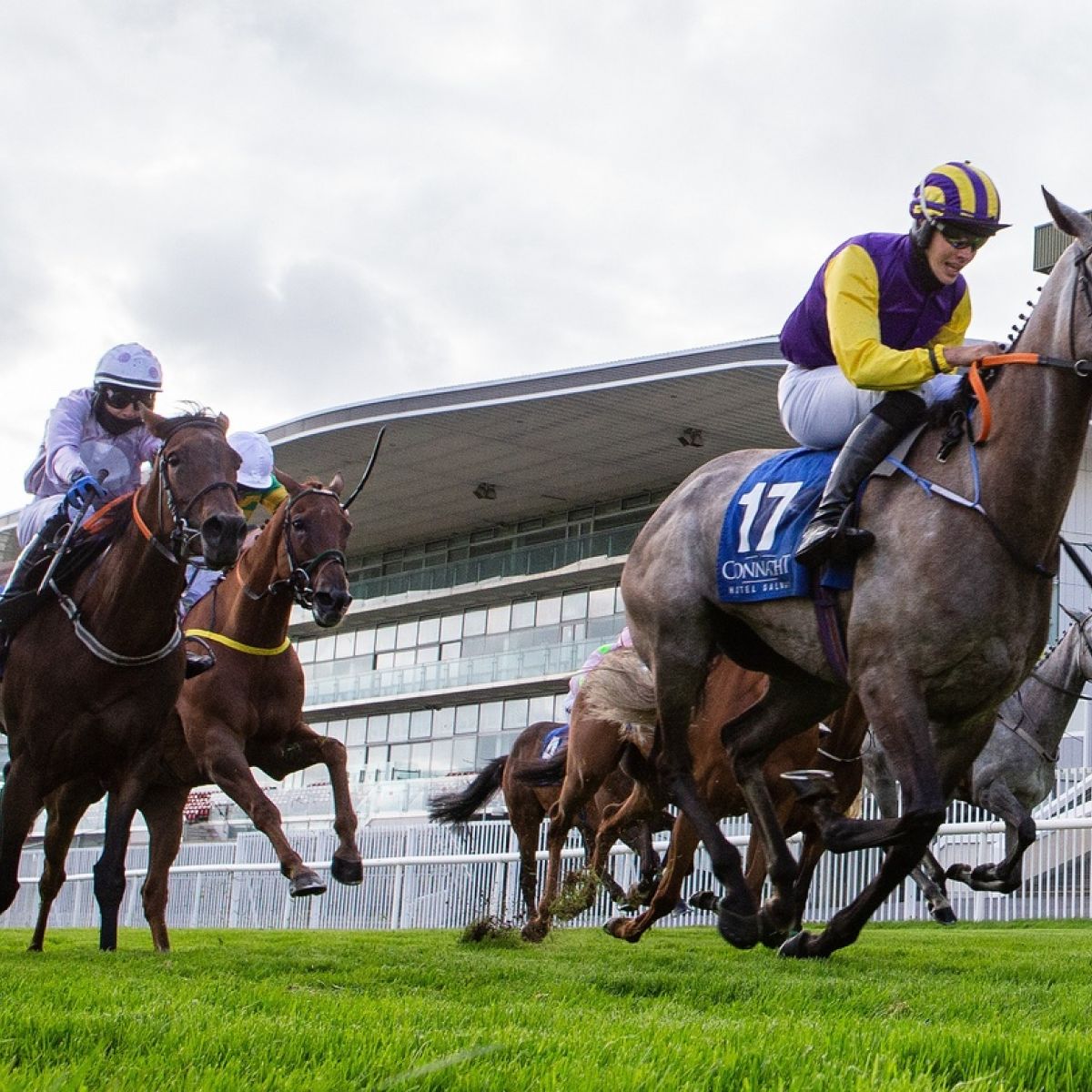 8+ Horse racing archive bet 365 best strategy