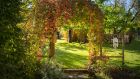 Hone your creative skills by planting a living willow structure such as a dome, arch or arbour. Photograph: iStock