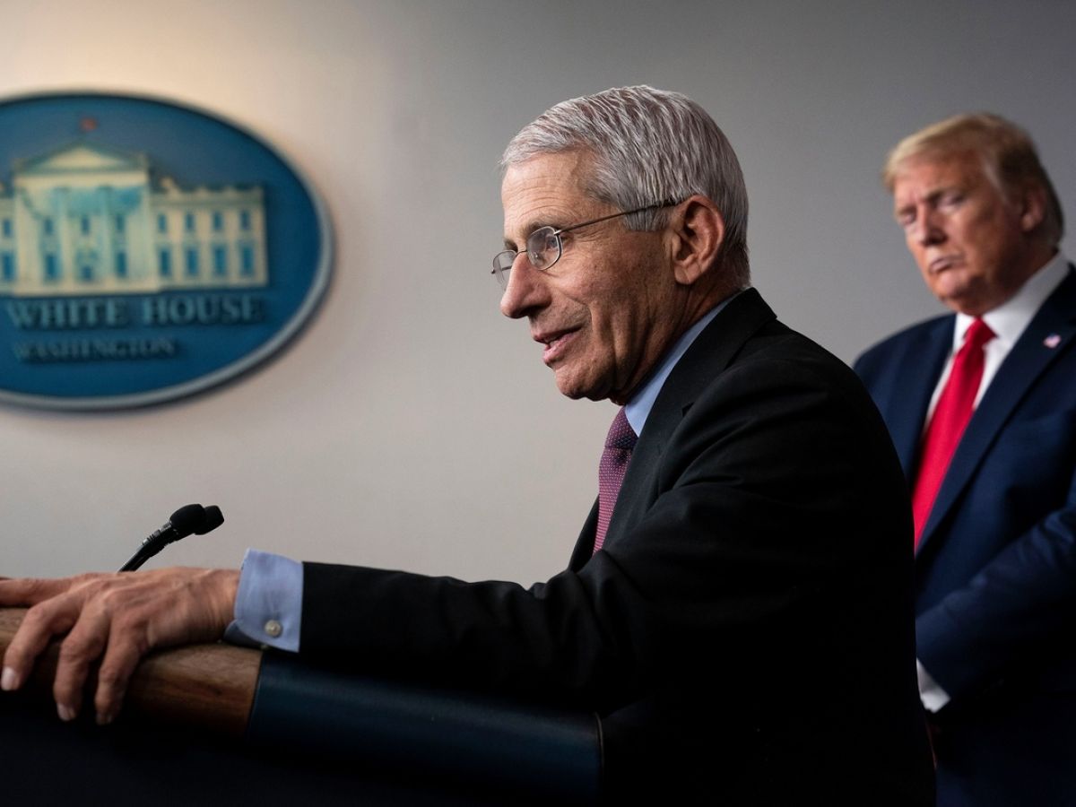 fauci reveals what it was really like working for trump