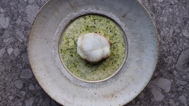 Pollack with mussel cream sauce with horseradish pearls and dill oil. Photograph: Aimsir