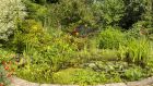 Designed well, the smallest pond offers food, water, shelter and a place for  species to live and/or to breed