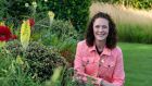 Garden Designer Pip Probert advises those planning a garden makeover to 'try to think in 3D when it comes to the finished design'.