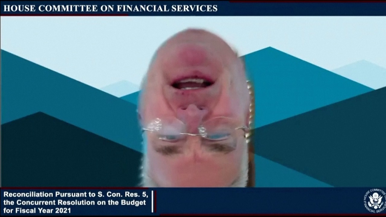 At Least He S Not A Cat Us Congressman Appears Upside Down On Zoom Call