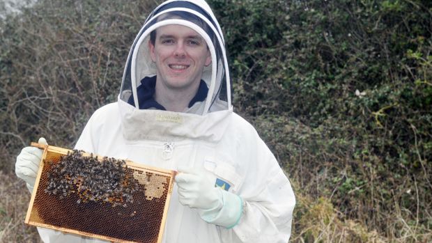 I Thought Beekeeping Would Be Easy The Bees Had Other Plans