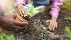 Hardier plants can go into the ground in April.  Photograph: Getty