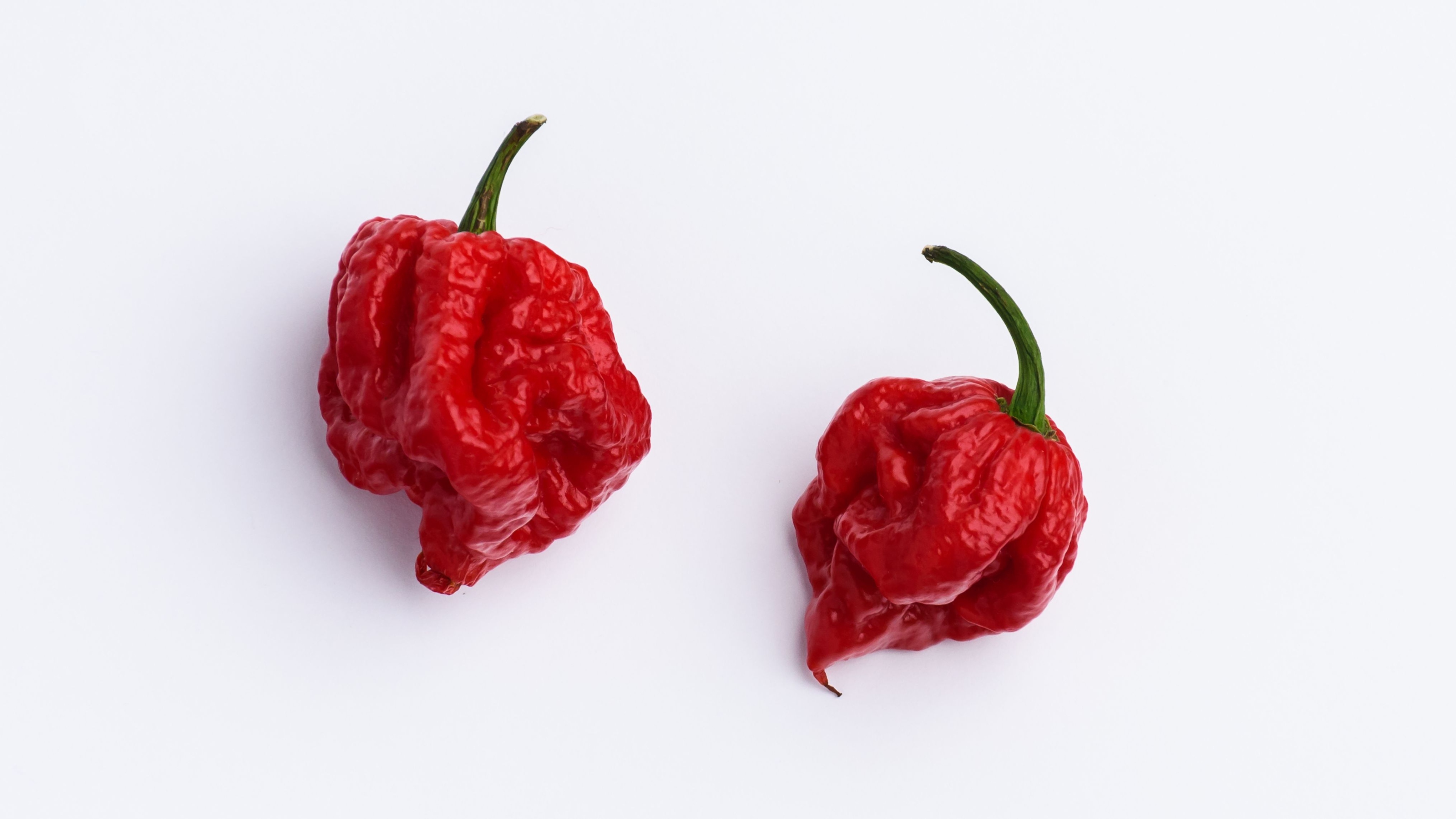 Carolina reaper записи