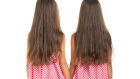 Twin studies have historically been some of the most valuable research tools in the world, helping to explain human behavioural, medical and physical traits. Photograph: iStock