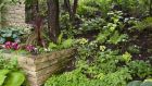 In the eyes of many a shady garden equals a gloomy garden but that's  bunkum. Photograph: Getty Images