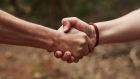 I will not be shaking hands into the future. I’ll be sticking to a casual verbal greeting – ‘howiya, horse’ – and a non-committal wave. Photograph: iStock