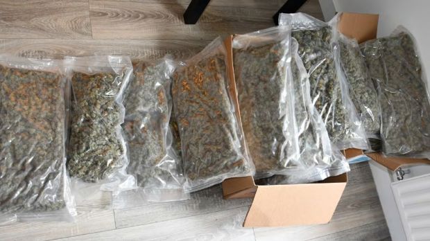 About 22.5kg of vacuum-packed cannabis herb was also seized. Photograph: An Garda Síochána