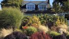 An autumn garden with ornamental grasses. Photograph: iStock