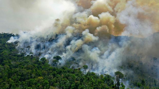 Brazilâ€™s CO2 emissions rose 9.5% year-on-year in 2020 despite the global average being down 7%, which attributed the rise to deforestation. Photograph: Carl de Souza/AFP via Getty