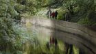 Walkers along the River Dodder at Milltown. Photograph: Alan Betson