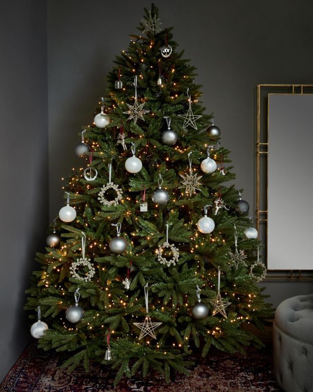 A Guide To Choosing The Best Christmas Tree For Your Home