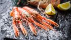 Dublin Bay prawns, which are also known as langoustines or scampi, look more like mini lobsters. Photograph: iStock/Getty