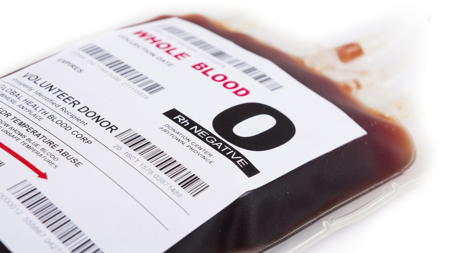 can gay men donate blood in america