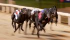 The owner of the Shelbourne Park greyhound racing track wants to develop the Dublin 4 site for housing. File photograph: Donall Farmer/Inpho