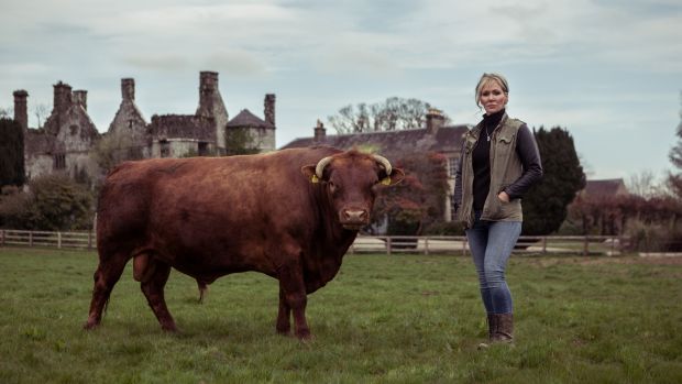 Eavaun Carmody has the largest herd of Dexter cattle in the country