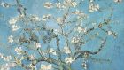 Almond Blossoms  by Vincent van Gogh,  Van Gogh Museum, Amsterdam. Photograph:   DeAgostini/Getty Images