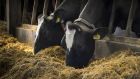 The  proposed new biogas facility in Offaly  would turn silage, manure and chicken litter into gas to heat homes and businesses. Photograph: iStock