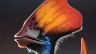 The international study, published in the journal Nature, analysed a 115 million-year-old fossilised head crest of the pterosaur species Tupandactylus imperator, which originated in  Brazil