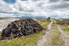 Nobody knows exactly how much turf is extracted on Irish bogs every year and where it goes. Photograph: iStock