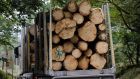 The cost of timber will increase by another 9.3 per cent this year to €106.80 a metre, says Linesight. Photograph: Alan Betson
