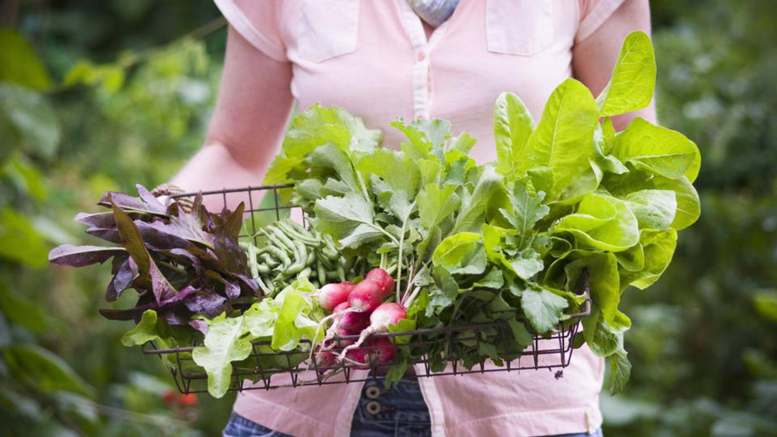 Grow Your Own Groceries And Reap The Rewards – The Irish Times