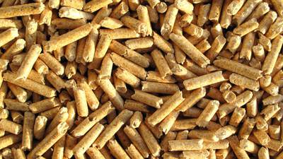 Big change on the cards for biomass industry
