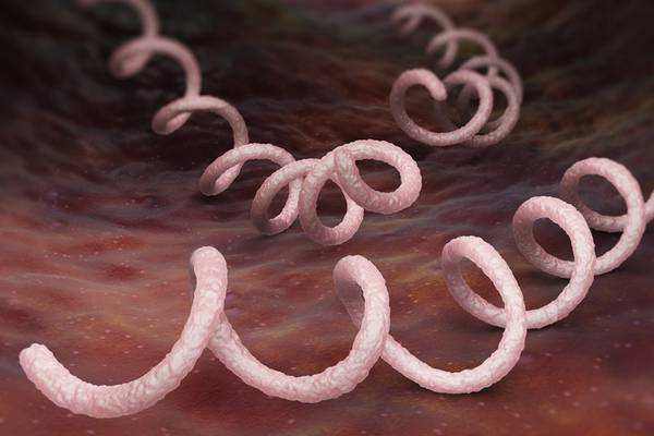 Incidence of syphilis ‘up over 30%’ in first six months of year