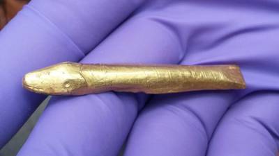 Amateur treasure hunter uncovers 7th century golden fish