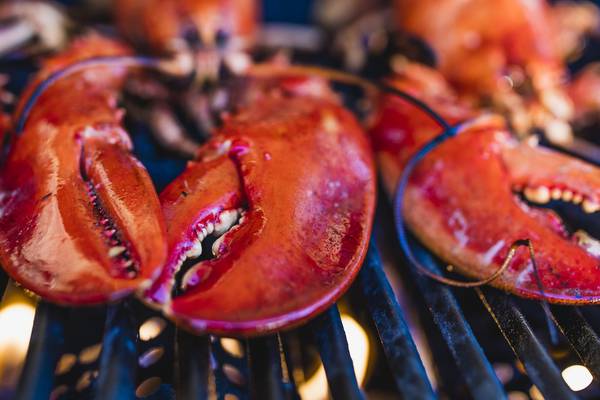 Dalkey festival to serve up more than 6,000kg of lobster