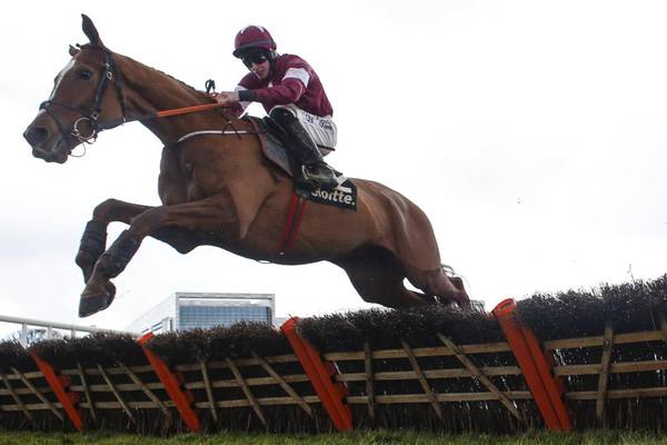 Samcro ‘very, very, very doubtful’ to make Cheltenham Festival