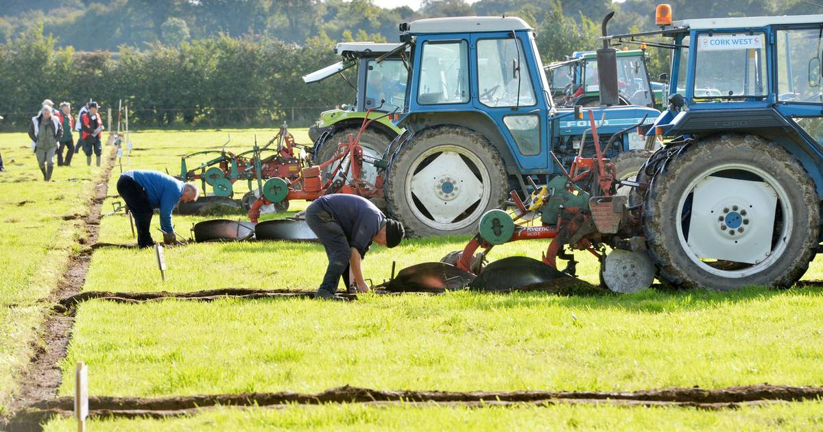 Ploughing Championships Everything you need to know The Irish Times