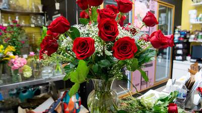 Wholesale cost of red roses doubles due to Brexit and rising energy costs